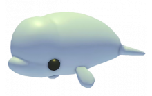 Beluga Whale (Adopt Me - Pet) [Flyable, Rideable]