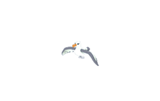 Albatross (Adopt Me - Pet) [Flyable, Rideable]