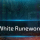 White Runeword - D2R 2.6
