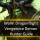 Vengeance Demon Hunter Guide - WOW Dragonflight