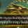 OSRS Hydra And Alchemical Hydra Strategy Guide