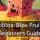 Blox Fruits Beginners Guide