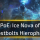 [3.27] Ice Nova of Frostbolts Build Build - POE Keepers of the Flame