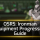 2025 OSRS Ironman Equipment Progression Guide