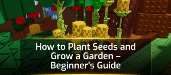 How to Plant Seeds and Grow a Garden  Beginner's Guide