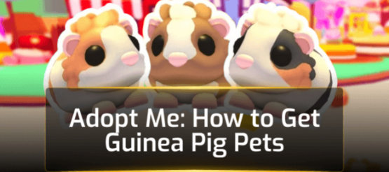 Adopt Me: How to Get Guinea Pig Pets Adopt Me: How to Get Guinea Pig Pets