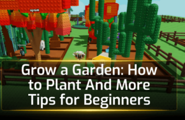 Grow a Garden: How to Plant And More Tips for Beginners
