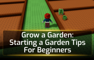 Grow a Garden: Starting a Garden Tips For Beginners