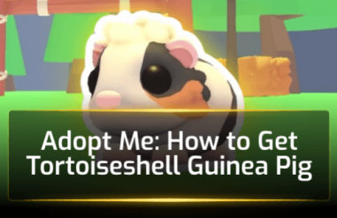 Adopt Me: How to Get Tortoiseshell Guinea Pig