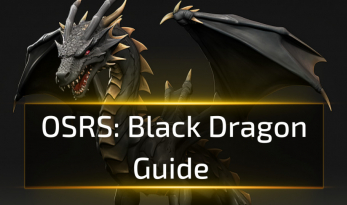 OSRS Black Dragon Guide