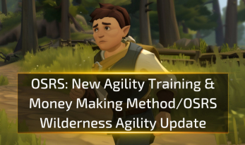 OSRS New Agility Training & Money Making Method/OSRS Wilderness Agility Update